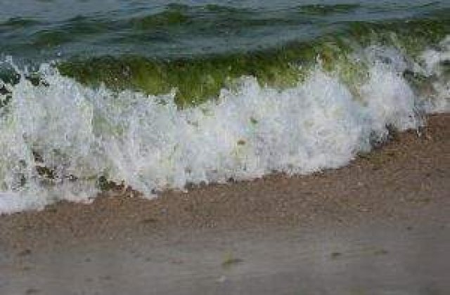 Stam langa o "mare" de gaze naturale: Petrom si Exxon au descoperit-o