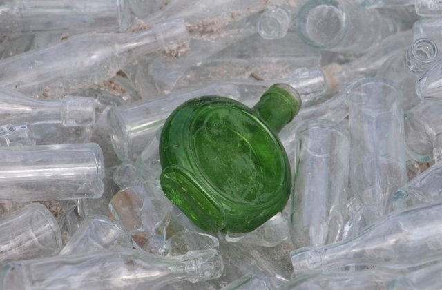 STICLA, mancarea viitorului?