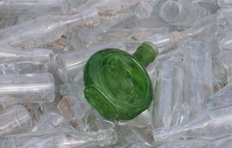 STICLA, mancarea viitorului?