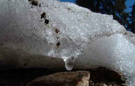 Cat ar costa topirea brusca a zapezii?