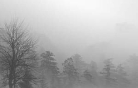 Vrancea, Galati si Cluj: Judetele cetoase ale zilei