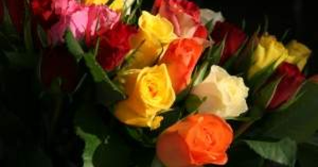 Flori, mobile si bidoane cu apa, "urgentele extreme" in cheltuielile Guvernului