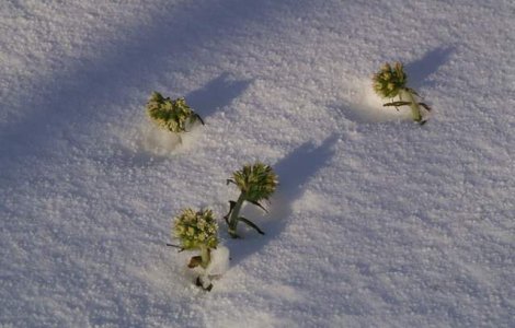 Meteo: Cum va fi vremea in weekend