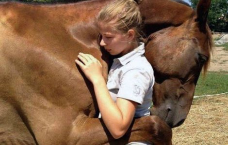  Top  Devotament fara echivoc: 10 fotografii emotionante care surprind frumusetea prieteniei si a dragostei