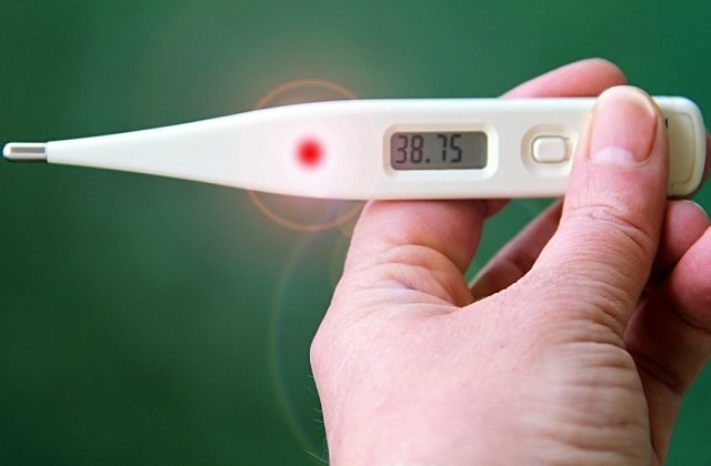 Mecanismele de aparare ale organismului ar putea fi stimulate de febra, arata un studiu