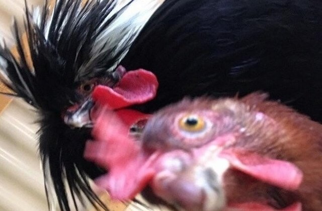 Straniu, dar nu chiar! 10 fotografii gasite de oameni dupa recuperarea telefonului pierdut