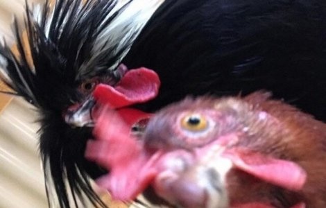  Top  10 fotografii gasite de oameni dupa recuperarea telefonului pierdut