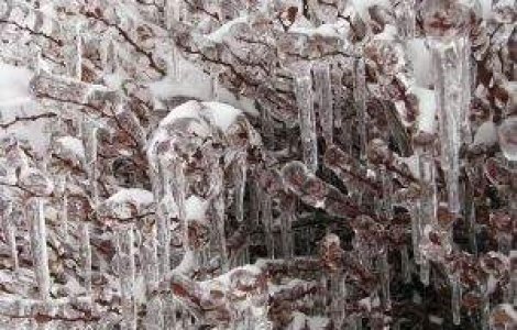 Meteo: Ninsori slabe si frig la inceputul saptamanii