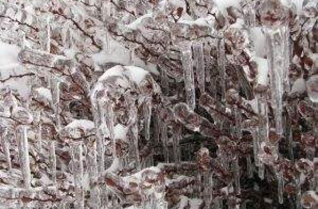 Meteo: Ninsori slabe si frig la inceputul saptamanii