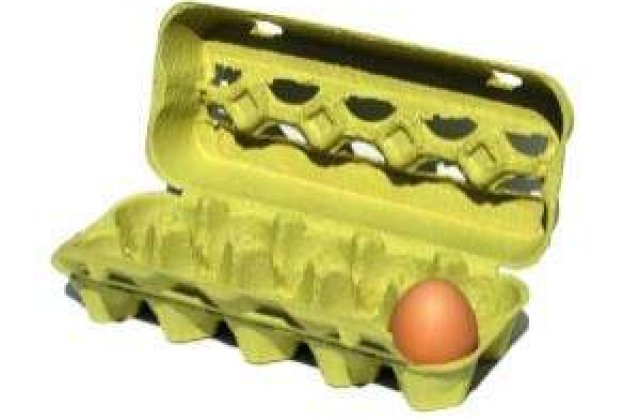 Culmea scumpirilor: Un ou = o paine