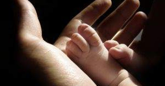 Facebook are acum manute si ochisori