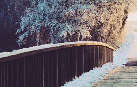 Corpul unui barbat in varsta de 46 ani, gasit inghetat sub un pod