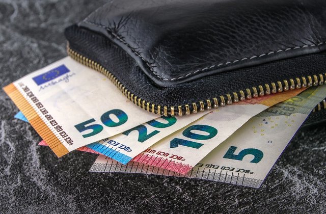 PSD: Daca nu exista cauze naturale, atunci cresterea euro nu poate fi decat artificiala. Ce face BNR?