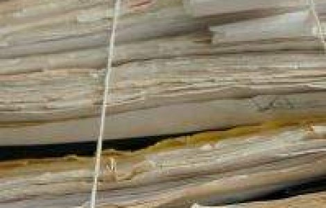 Sandu si Dragomir: Stenogramele lichidarii Universitatii Craiova