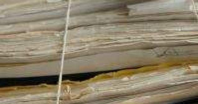 Sandu si Dragomir: Stenogramele lichidarii Universitatii Craiova