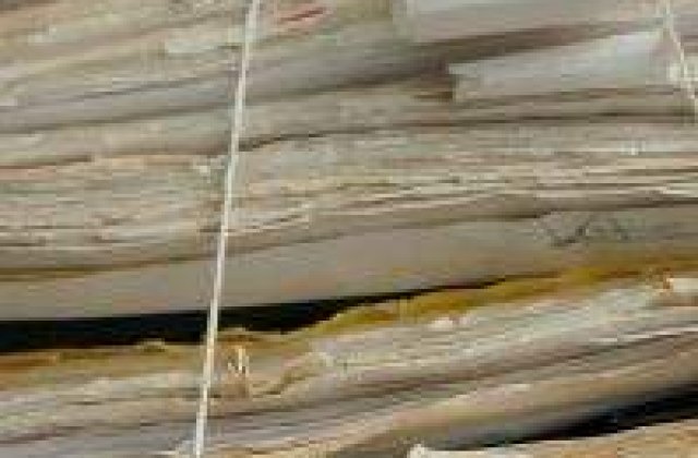 Sandu si Dragomir: Stenogramele lichidarii Universitatii Craiova