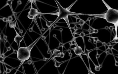 Premiera in Romania:...