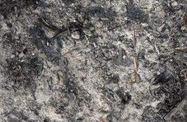 SUA: Ramasitele victimelor de la 11 septembrie, aruncate la gunoi