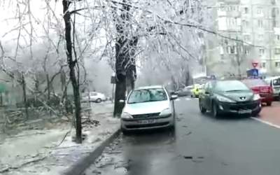 Ce optiuni au soferii ale...