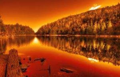 100 de hectare din rezervatia Deltei Dunarii, mistuite de incendiu