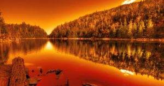 100 de hectare din rezervatia Deltei Dunarii, mistuite de incendiu