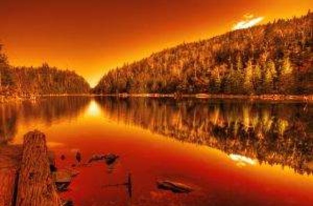 100 de hectare din rezervatia Deltei Dunarii, mistuite de incendiu