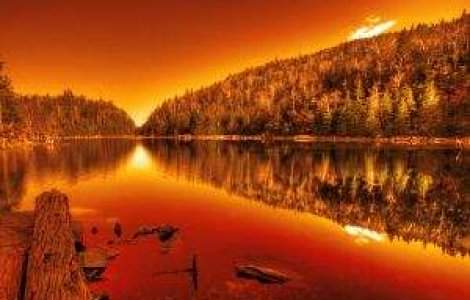 100 de hectare din rezervatia Deltei Dunarii, mistuite de incendiu