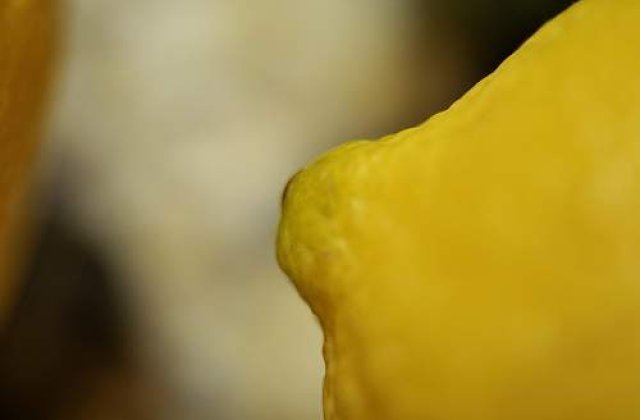 Ce spun sanii despre personalitatea femeilor?