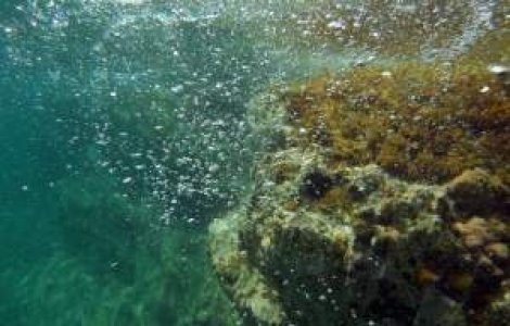 Cluj: Tatal si cei doi copii disparuti au fost gasiti in lac