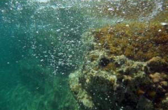 Cluj: Tatal si cei doi copii disparuti au fost gasiti in lac