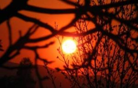 Meteo: Cum va fi vremea in weekend?