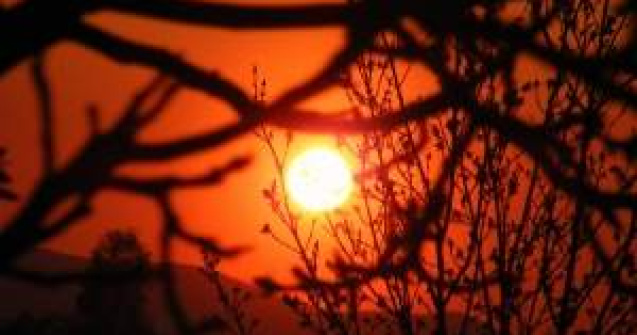 Meteo: Cum va fi vremea in weekend?