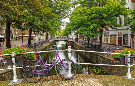 Olanda va interzice folosirea telefonului mobil in timpul mersului pe bicicleta