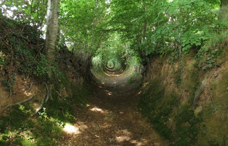  Top  10 fotografii care surprind trecerea timpului asupra lucrurilor