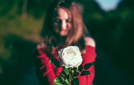 Propunerea inedita a unei gradini zoo, de Ziua Indragostitilor