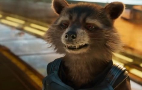 A murit ratonul care a servit ca model pentru Rocket Racoon