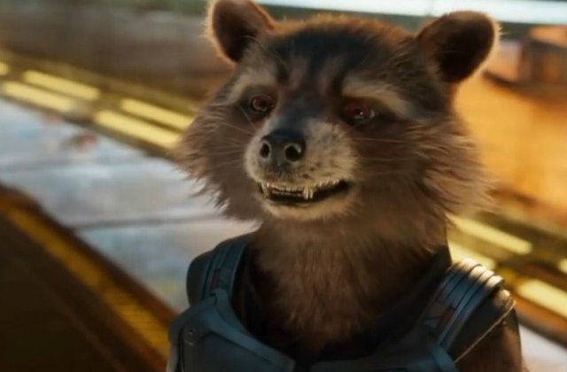 Ratonul care a servit ca model pentru Rocket Racoon din "Gardienii Galaxiei" a murit