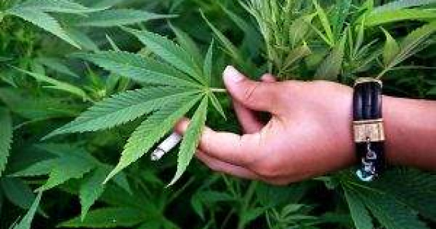 SUA nu pot opri pe deplin traficul de droguri din America Latina