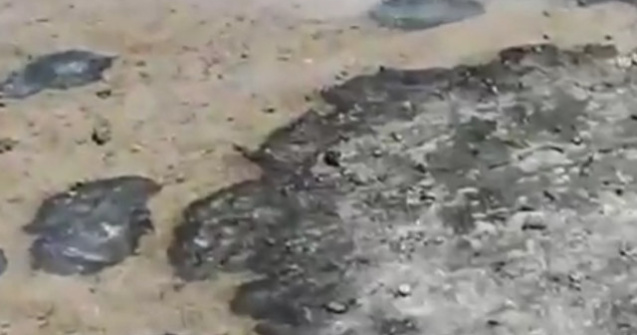 Pamantul unei ferme din Australia arde din cauza caniculei/ VIDEO