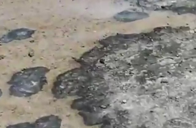 Pamantul unei ferme din Australia arde din cauza caniculei/ VIDEO