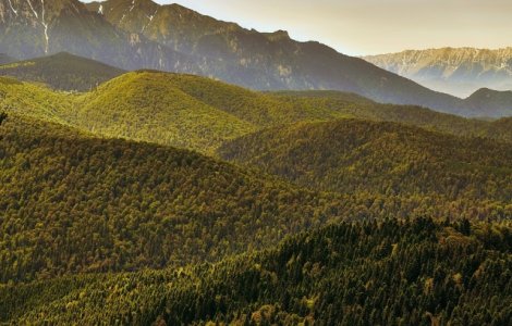 USR sesizeaza CCR ca urmare a excluderii organizatiilor neguvernamentale din administrarea ariilor protejate