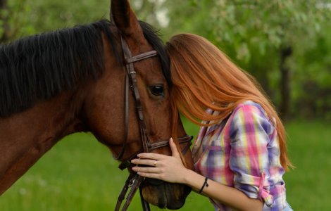  Top  Frica de fluturi sau fata de cai: 9 fobii mai putin cunoscute