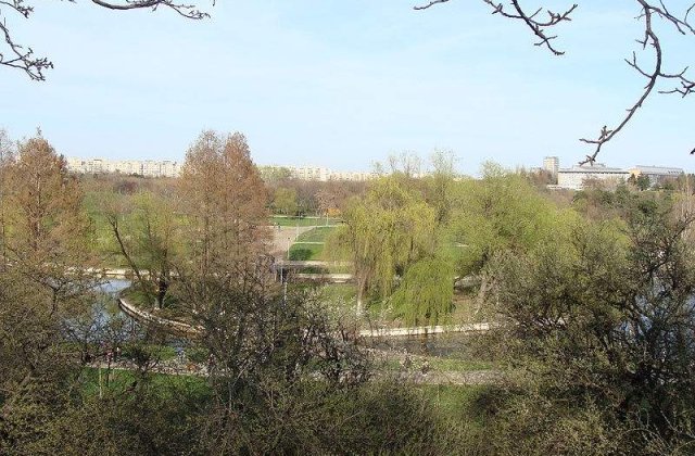 Primii pasi pentru Arena Bucurestilor din Parcul Tineretului