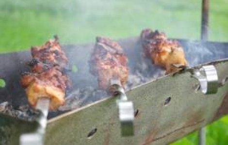 Legea picnicului, la un pas de a intra in vigoare