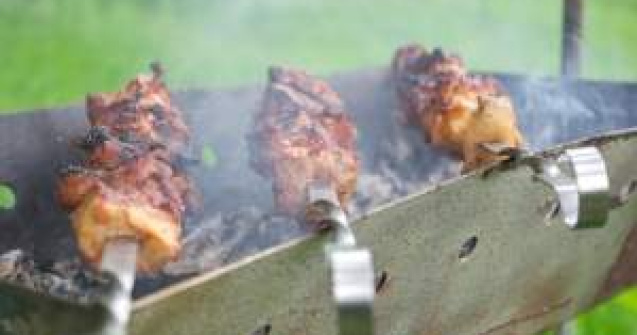 Legea picnicului, la un pas de a intra in vigoare