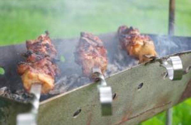 Legea picnicului, la un pas de a intra in vigoare