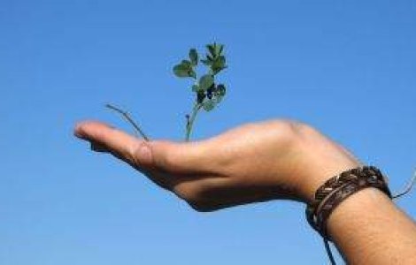 Energia, bugetul si migratia, temele principale in campania pentru PE in Romania