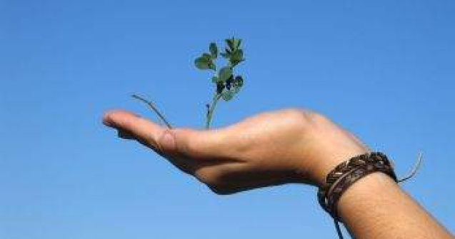 Energia, bugetul si migratia, temele principale in campania pentru PE in Romania