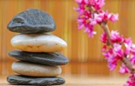 Traieste Zen: Dokusho Villaba Roshi vine in Romania