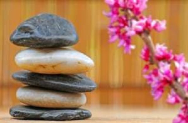 Traieste Zen: Dokusho Villaba Roshi vine in Romania 